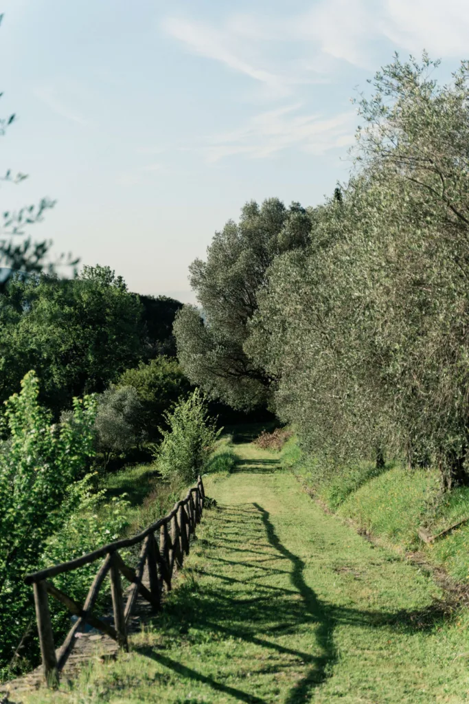 A View from a Castle's Tuscany Vineyard